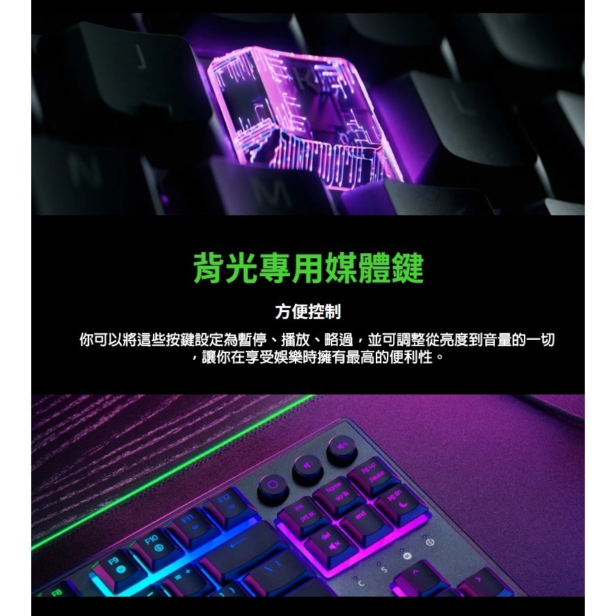Razer 雷蛇 ORNATA V3 TKL 雨林狼蛛 酷洛米 電競鍵盤 UV矮軸按鍵 鍍膜鍵帽 機械鍵盤 雷蛇鍵盤-細節圖6