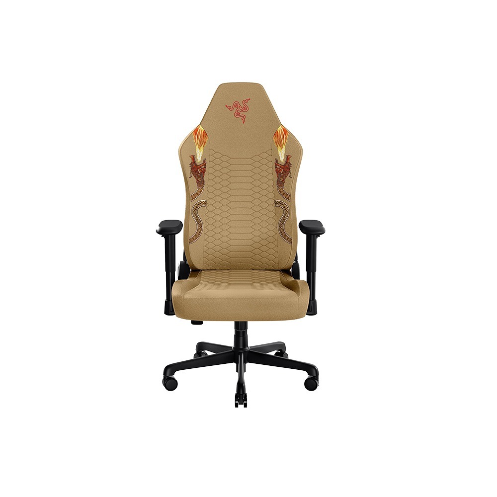 Razer 雷蛇 Iskur V2 X CS2 聯名款 電競椅 內置腰枕 高密度泡棉 2D扶手 電腦椅 辦公椅 賽車椅-細節圖2