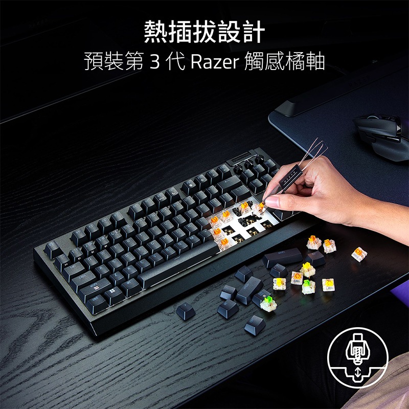 Razer 雷蛇 EVA聯名套裝 VIPER V3 PRO Huntsman TKL 獵魂光蛛 毒蝰 巨甲蟲 鼠墊-細節圖4