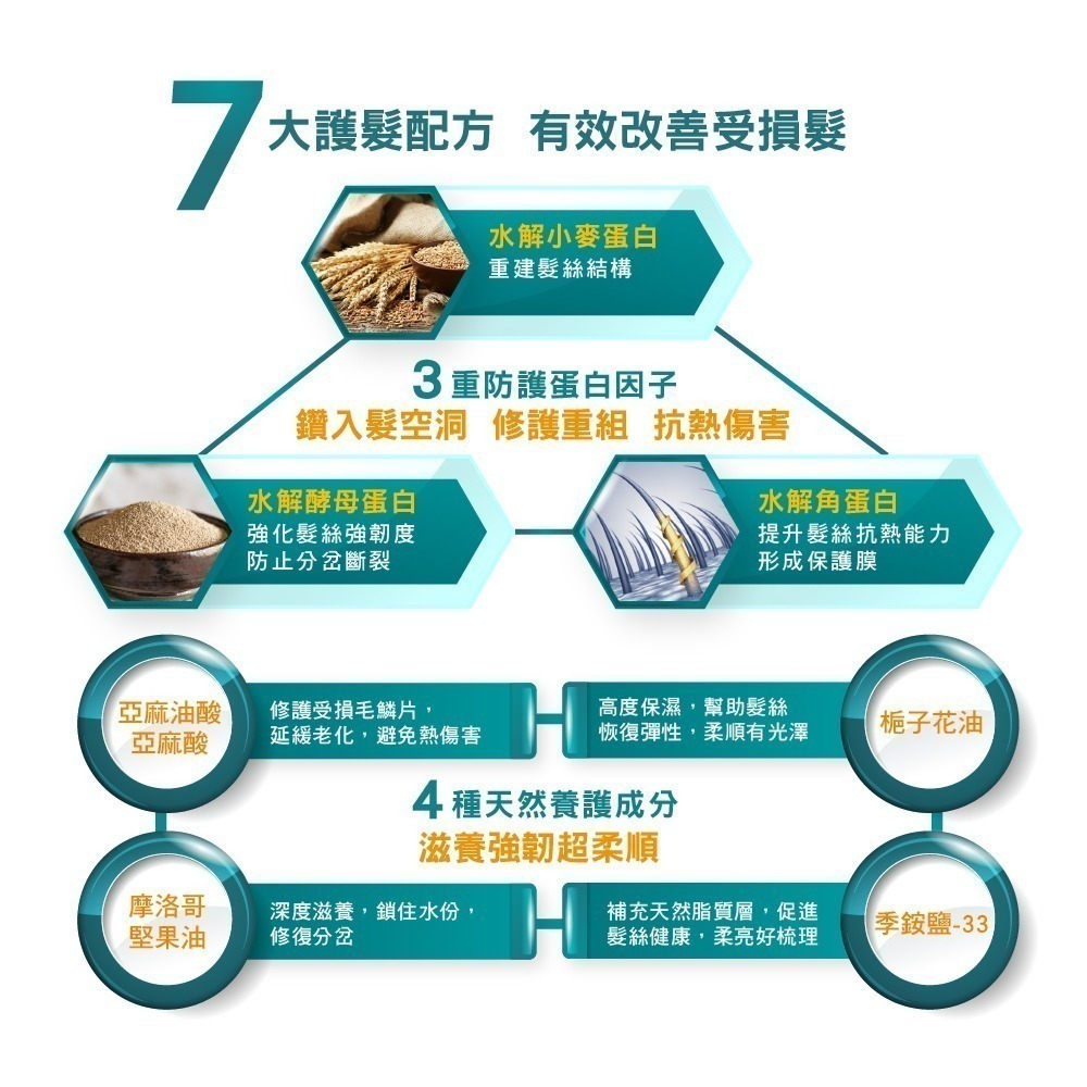 台塑生醫Dr＇s Formula  三代洗髮精 <洗髮精> 控油抗屑 髮根強化 順直水感 恆彩固色-細節圖8