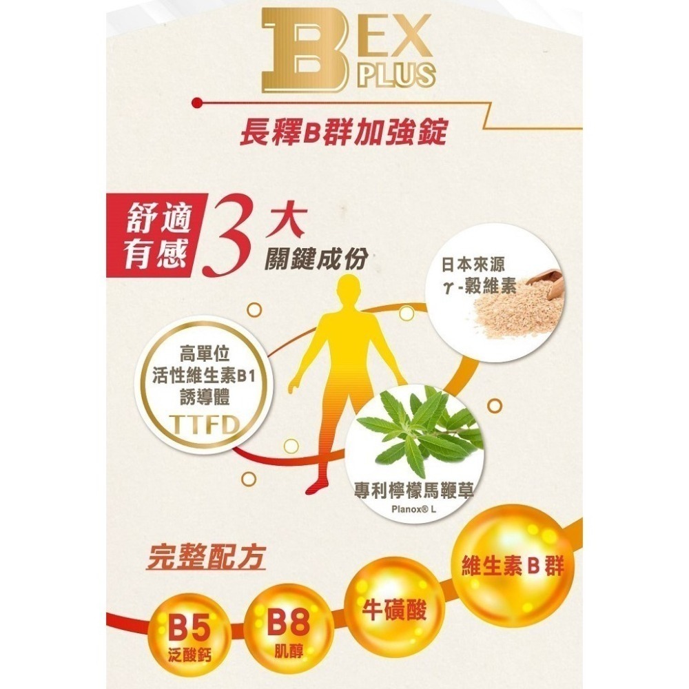 台塑生醫 【醫之方】長釋B群 EX PLUS加強錠x1瓶 (60錠)-細節圖3