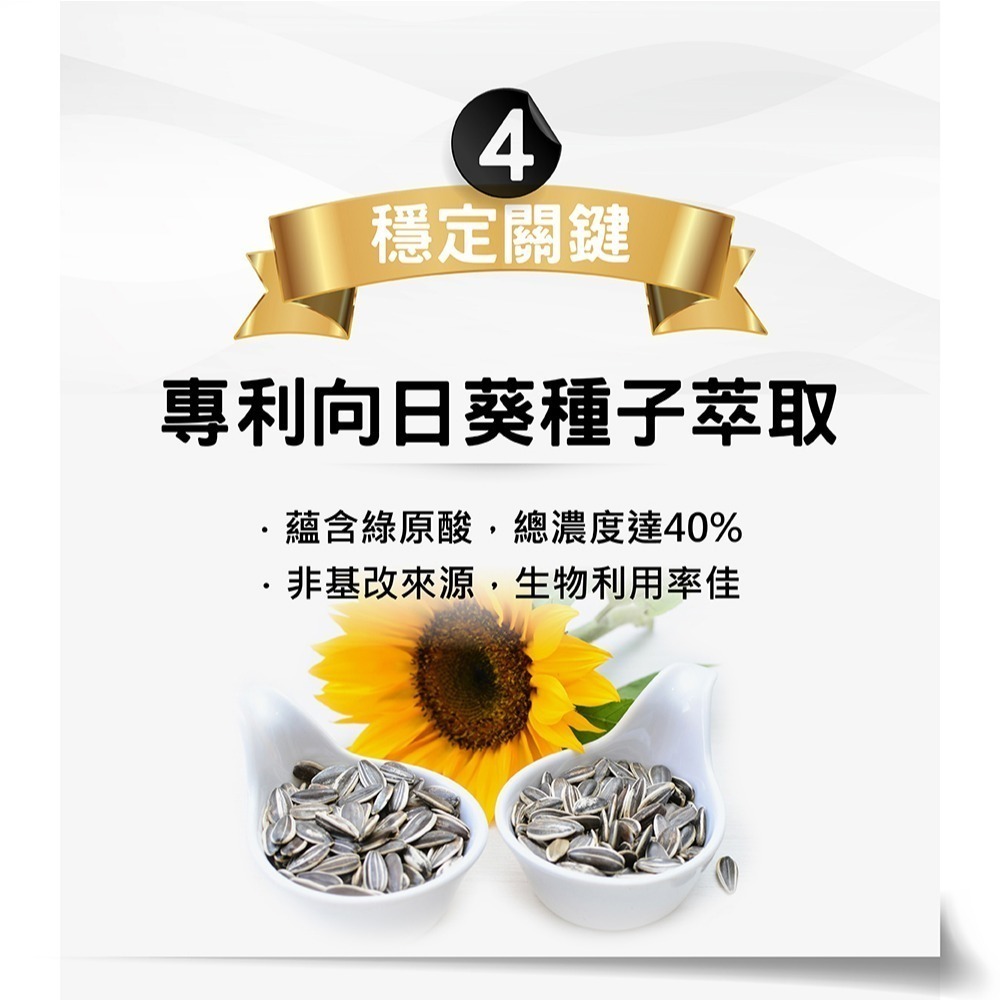 【台塑生醫】醫之方 好鉻苦瓜複方膠囊 (90粒/瓶) 1瓶/2瓶 維持常代謝 專利山苦瓜-細節圖9