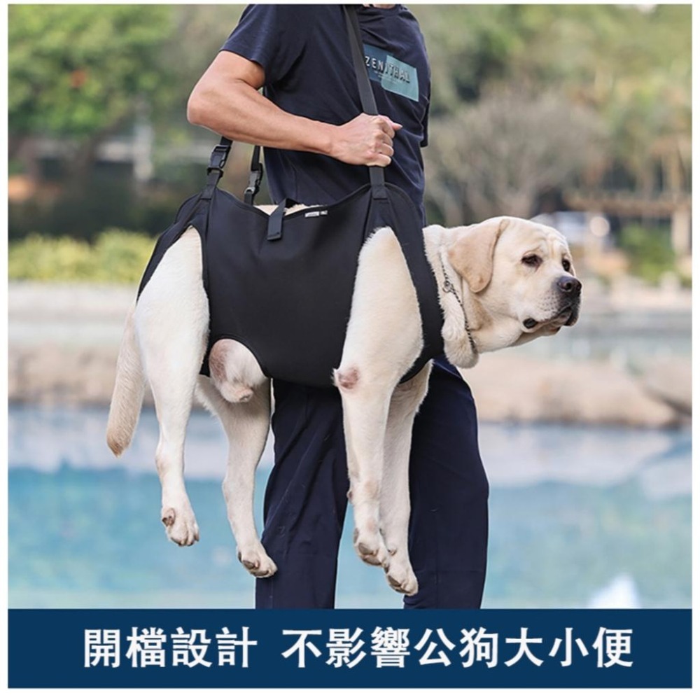 輔助帶 受傷狗狗 後腿輔助 背帶 老齡犬 輔助 背帶 老犬  減壓狗 戒護用 輔助出行-細節圖2