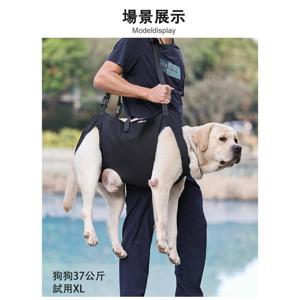 輔助帶 受傷狗狗 後腿輔助 背帶 老齡犬 輔助 背帶 老犬  減壓狗 戒護用 輔助出行-細節圖6