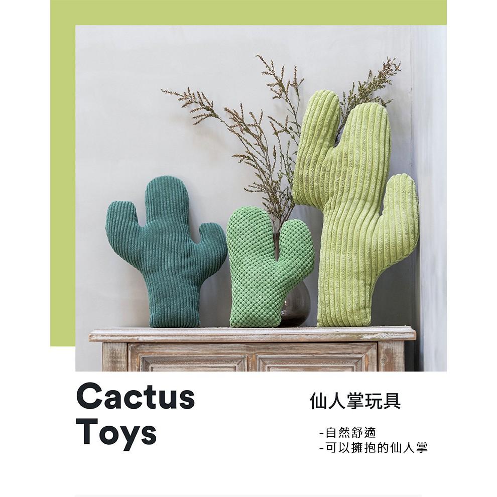 【My草芸】 貓薄荷仙人掌玩具 貓磨牙抱枕 仙人掌 貓玩具抱枕-細節圖2