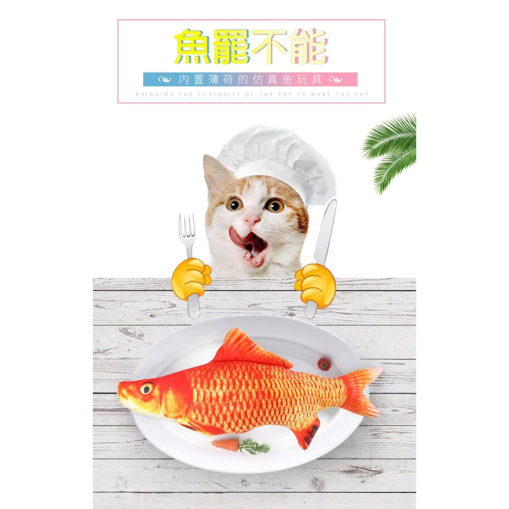 【My草芸】創意貓薄荷 仿真玩具抱枕  含貓薄荷 逗貓毛絨仿真魚-細節圖2