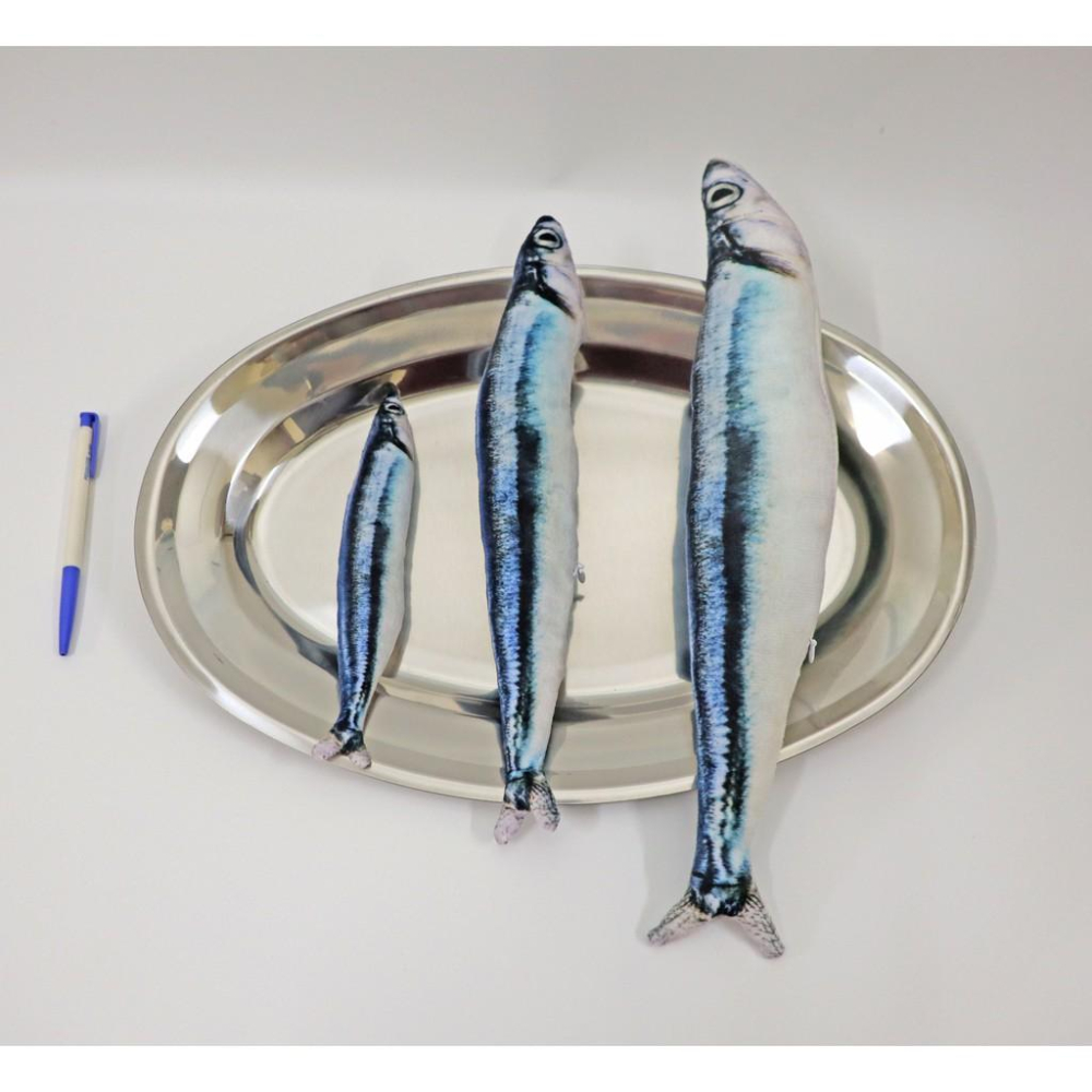 【My草芸】創意貓薄荷 仿真玩具抱枕  含貓薄荷 逗貓毛絨仿真魚-細節圖5