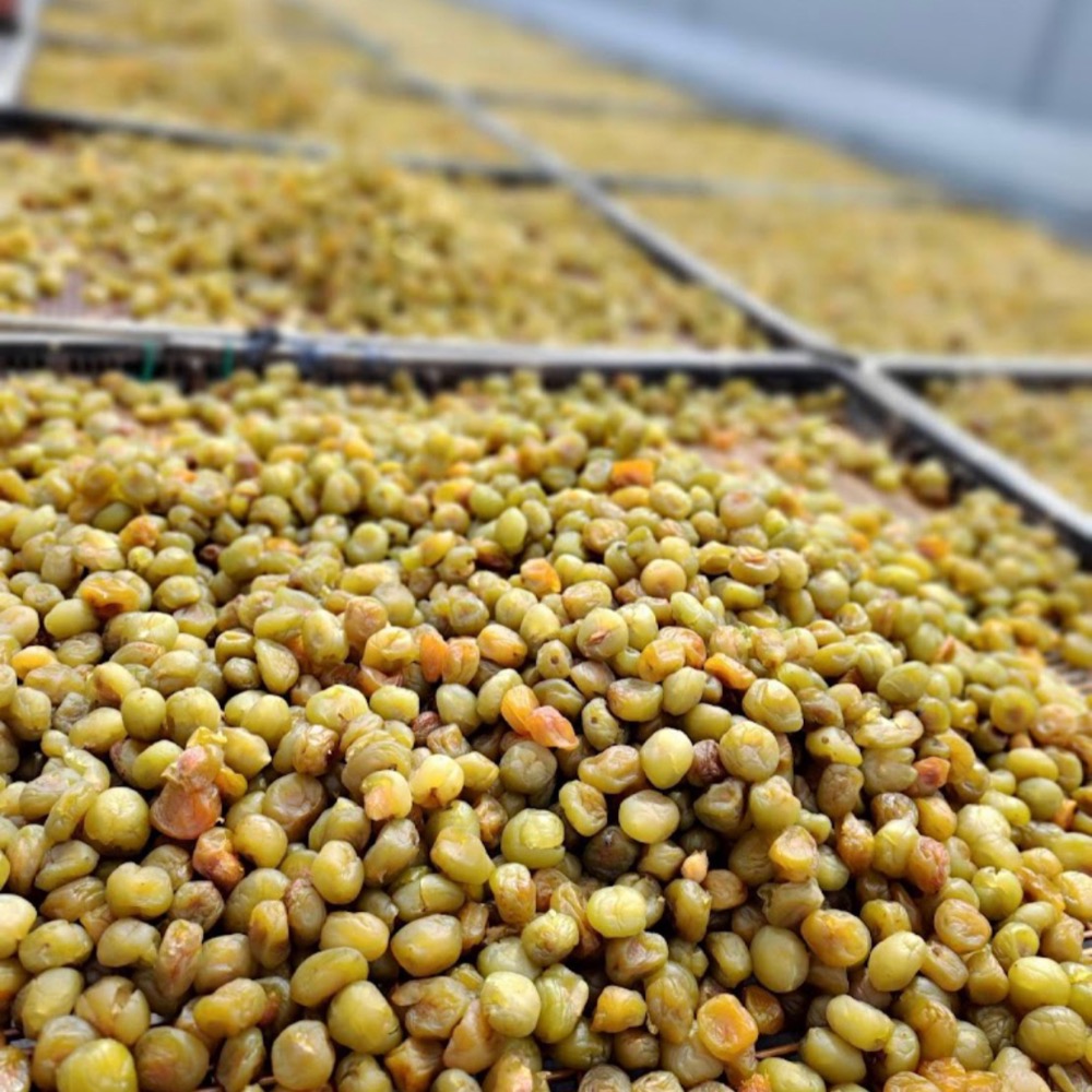 東興蜜餞廠-香q梅肉-細節圖5