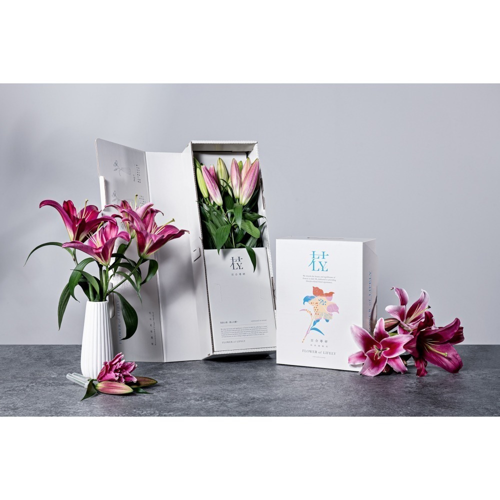 預購【百染花悅系列】姬美人 A.花束款-細節圖3