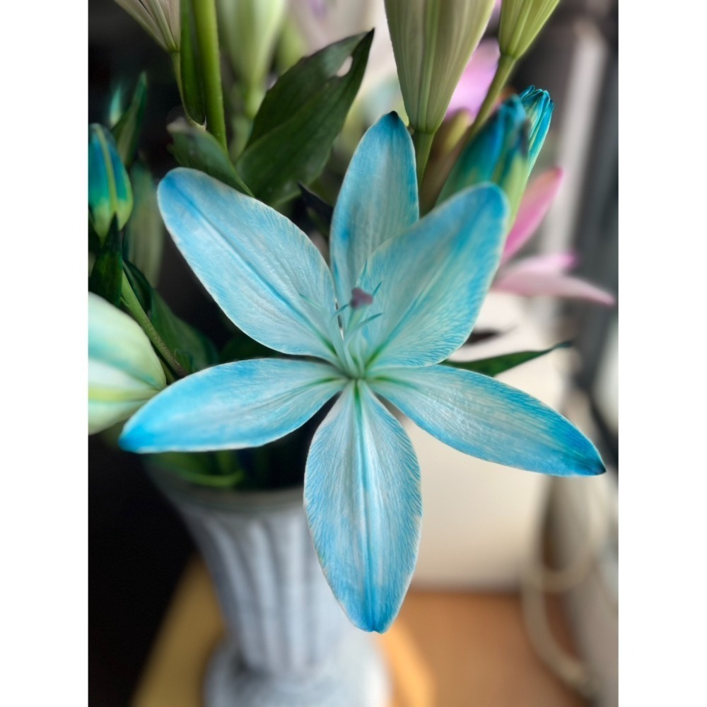 預購【百染花悅系列】姬美人 A.花束款-細節圖5