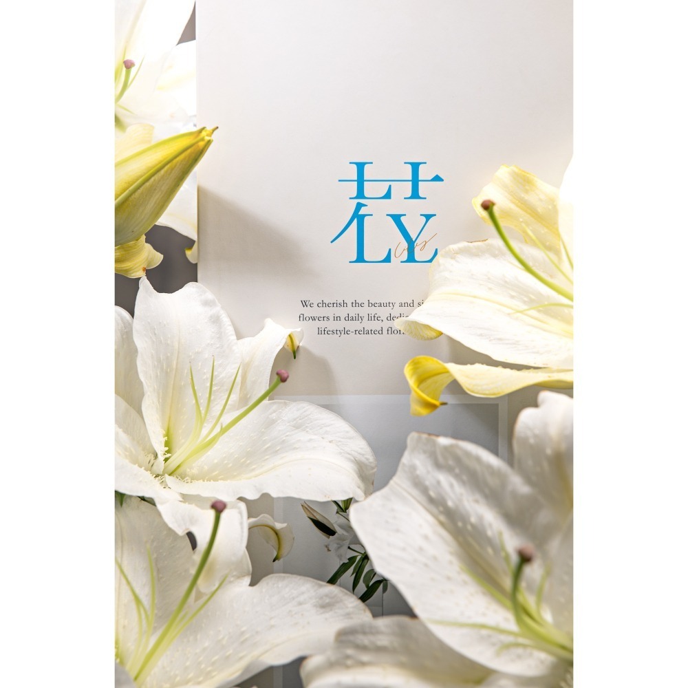 預購【百染花悅系列】姬美人 B.花苞款-細節圖3