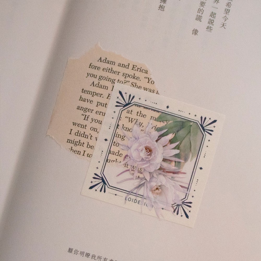 【分裝-便簽】樂意Loidesign《神秘學/植物園/三半拍-月光譜/美好播放-小星星》-細節圖4