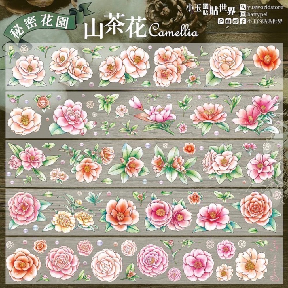 【分裝】小玉的貼貼世界《光/印章圖鑑/秘密花園/青空雜字/貓咪日常》PET膠帶-細節圖4