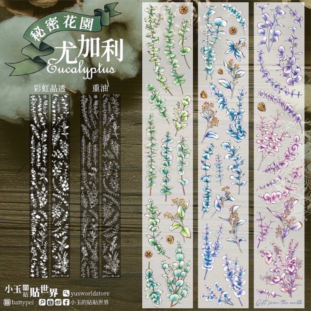【分裝】小玉的貼貼世界《光/印章圖鑑/秘密花園/青空雜字/貓咪日常》PET膠帶-細節圖5