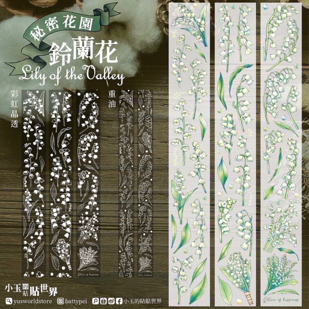 【分裝】小玉的貼貼世界《光/印章圖鑑/秘密花園/青空雜字/貓咪日常》PET膠帶-細節圖6