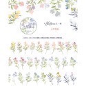 【分裝】Meow Illustration《山野間/黑皮諾/植物筆記/夏之薔薇/彩斑羽蝶/凋零之時》和紙 PET膠帶-規格圖9