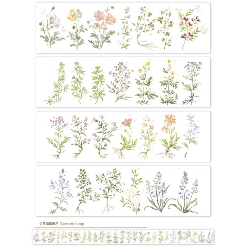 【分裝】Meow Illustration《山野間/黑皮諾/植物筆記/夏之薔薇/彩斑羽蝶/凋零之時》和紙 PET膠帶-規格圖9