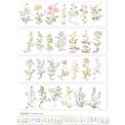 【分裝】Meow Illustration《山野間/黑皮諾/植物筆記/夏之薔薇/彩斑羽蝶/凋零之時》和紙 PET膠帶-規格圖9