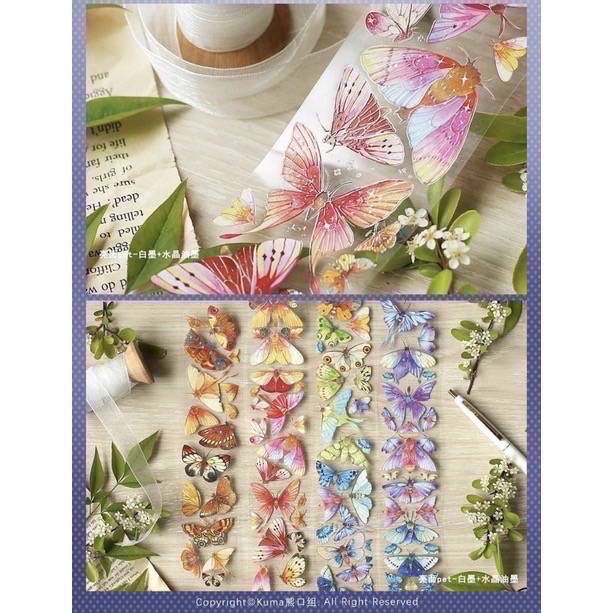 【分裝】Kuma熊口組《似蝶/甜夢藍藍/甜夢粉粉/飄飄/蝶舞》亮面PET膠帶-細節圖2