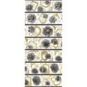 落金牡丹（6x100cm）貝殼光