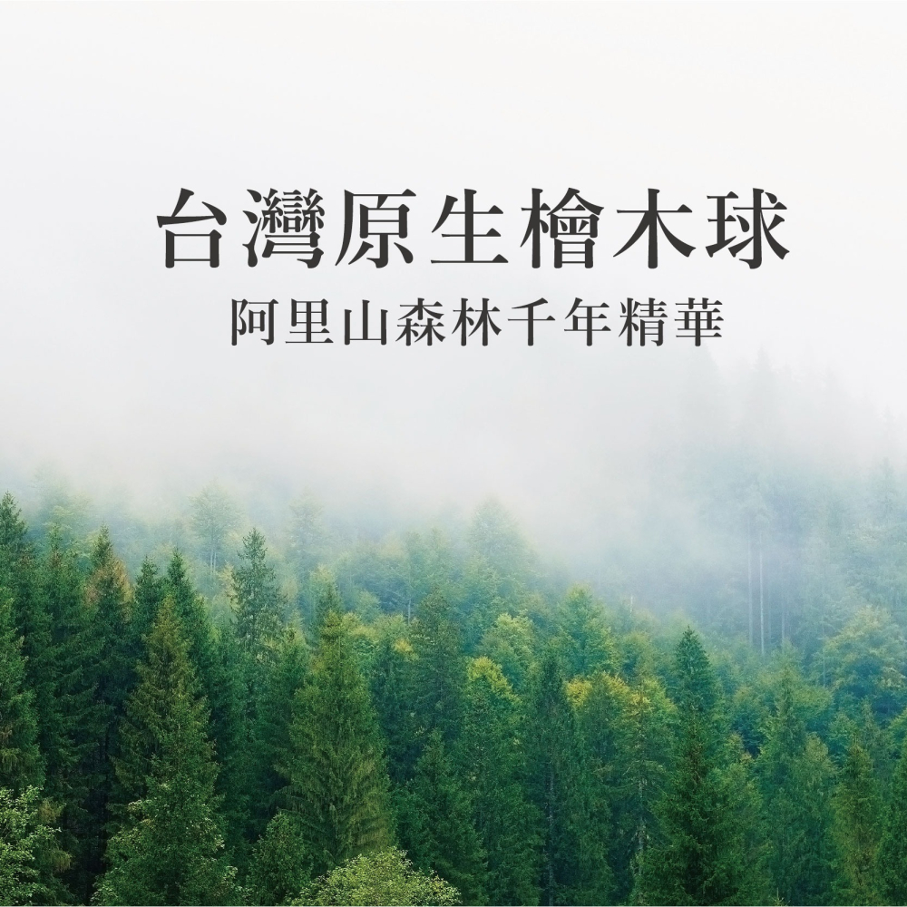 【幸沐商行】【台灣檜木 台灣製造100%新包裝】台灣檜木球 植物天然香氣 殺菌 除臭 除濕 防蟲 現貨 車用香水-細節圖8