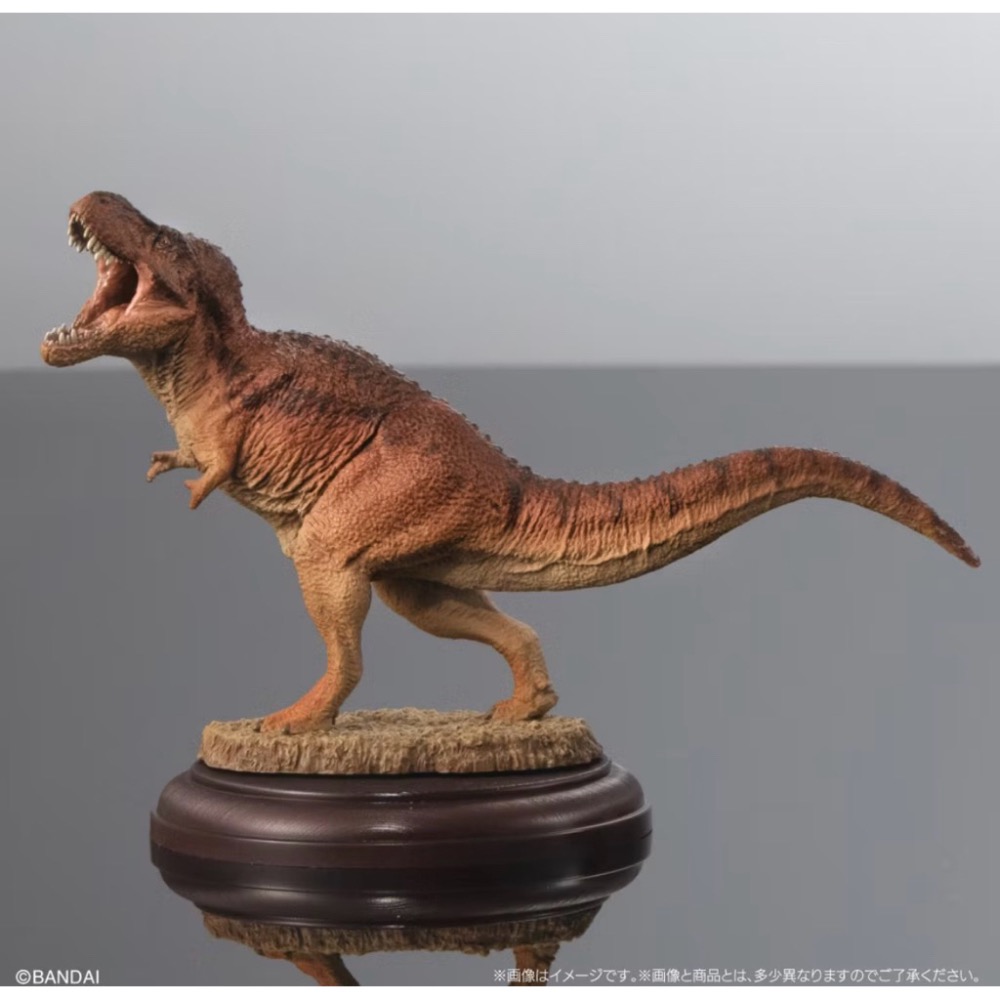 a3752117 單賣二款暴龍扭蛋-細節圖2