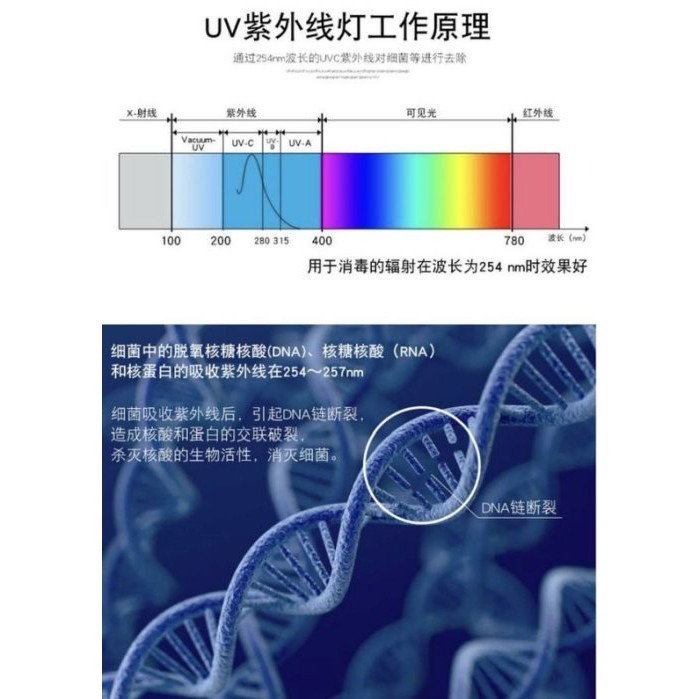 【金光閃閃】現貨 飛利浦 紫外線 殺菌燈管 UVC 254NM T5 4W 6W 8W 110V 殺菌燈 滅菌燈 消毒燈-細節圖7