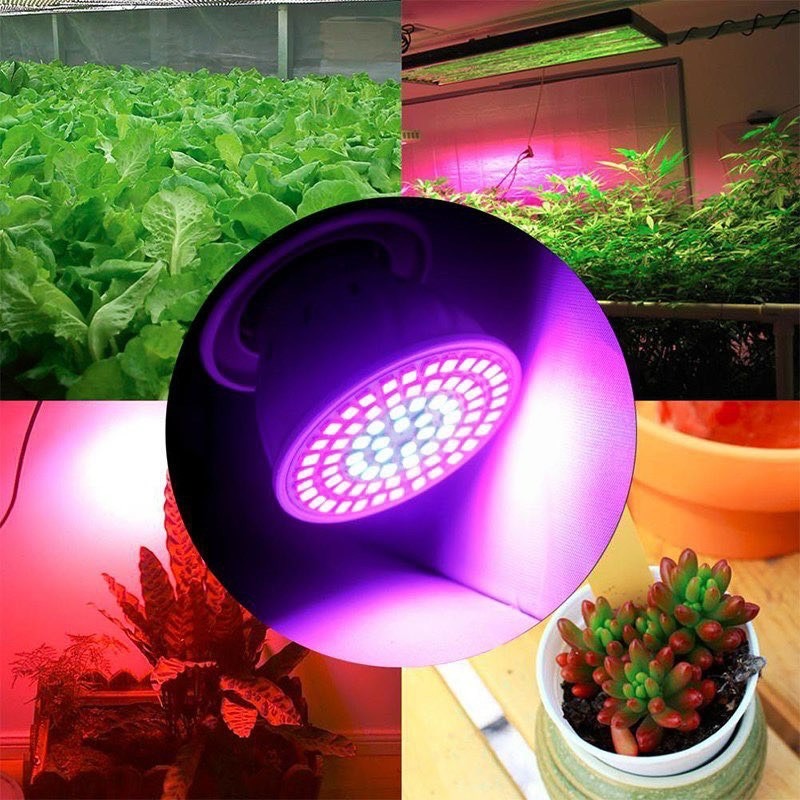 110V 8W 全光譜 LED 植物燈 E27 夾燈 植物生長燈 栽培燈 多肉植物 育苗 花卉-細節圖5