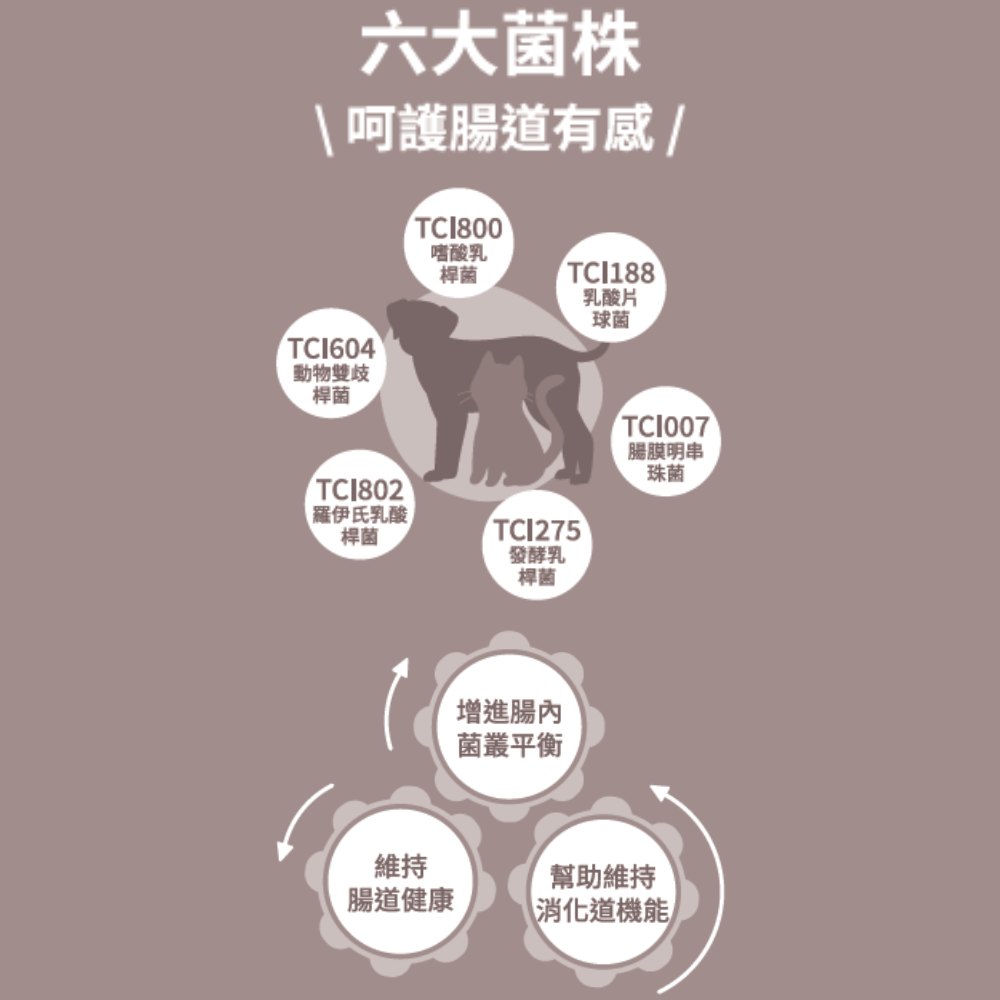 【活力提爾 VitaTiere】犬貓專用 益生菌粉包-細節圖5