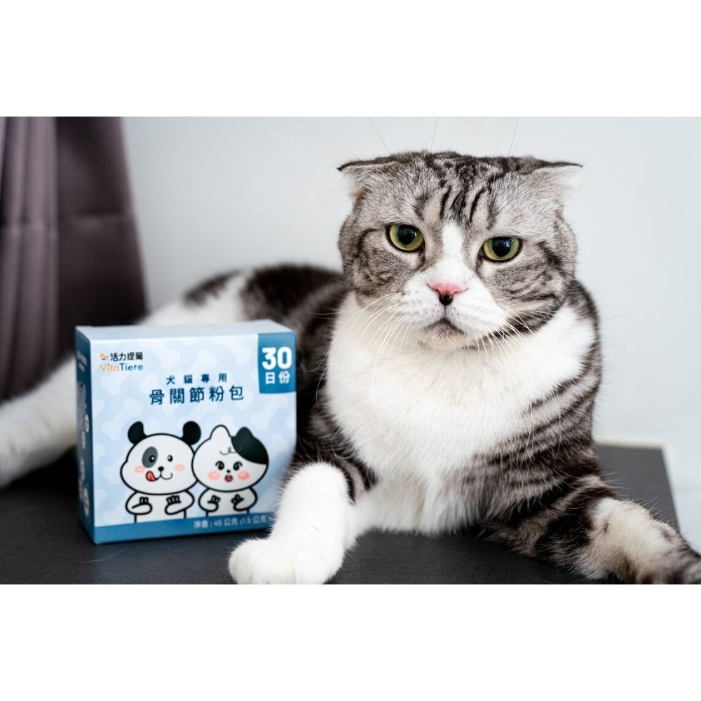 犬貓專用 骨關節粉包-細節圖2