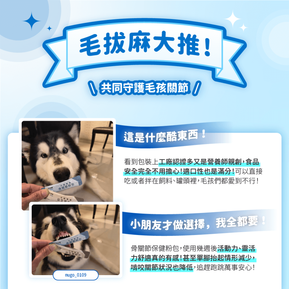 犬貓專用 骨關節粉包-細節圖3