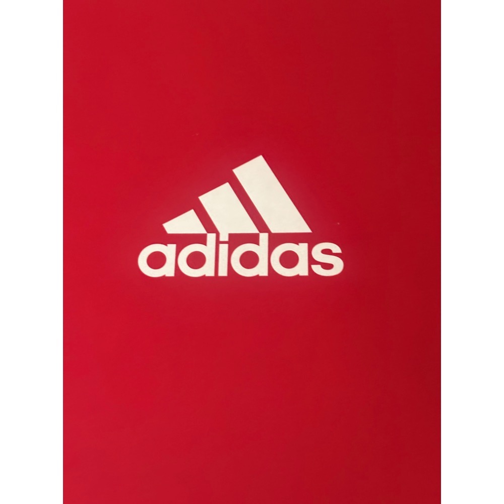 全新台灣公司貨 愛迪達 Adidas 詹姆士哈登 Vol.5 futurenatura G55811 農曆年特別版-細節圖3