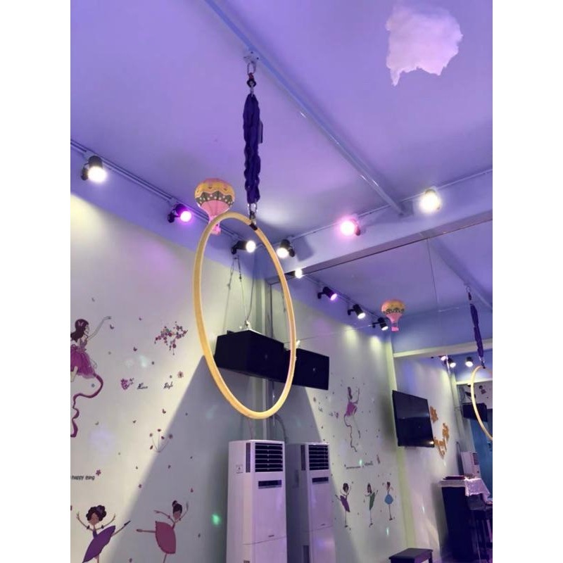 台灣品牌【茶瑜FUN后】承重2公噸！起重拉力帶 歐美規格檢測 空中瑜珈吊環拉力帶 瑜伽吊環拉力帶-細節圖3