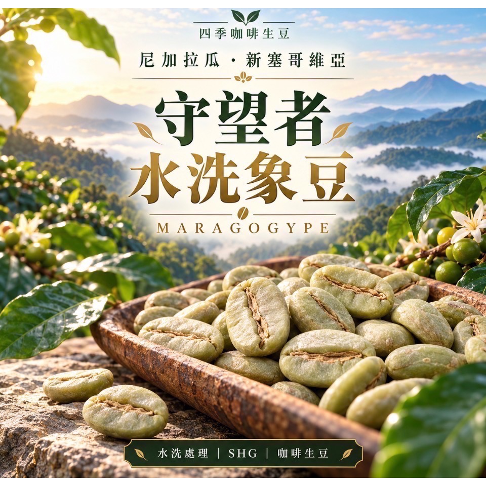 四季咖啡生豆 尼加拉瓜 象豆（ 大藍山）新塞哥維亞 守望者 水洗 SHG每公斤530元