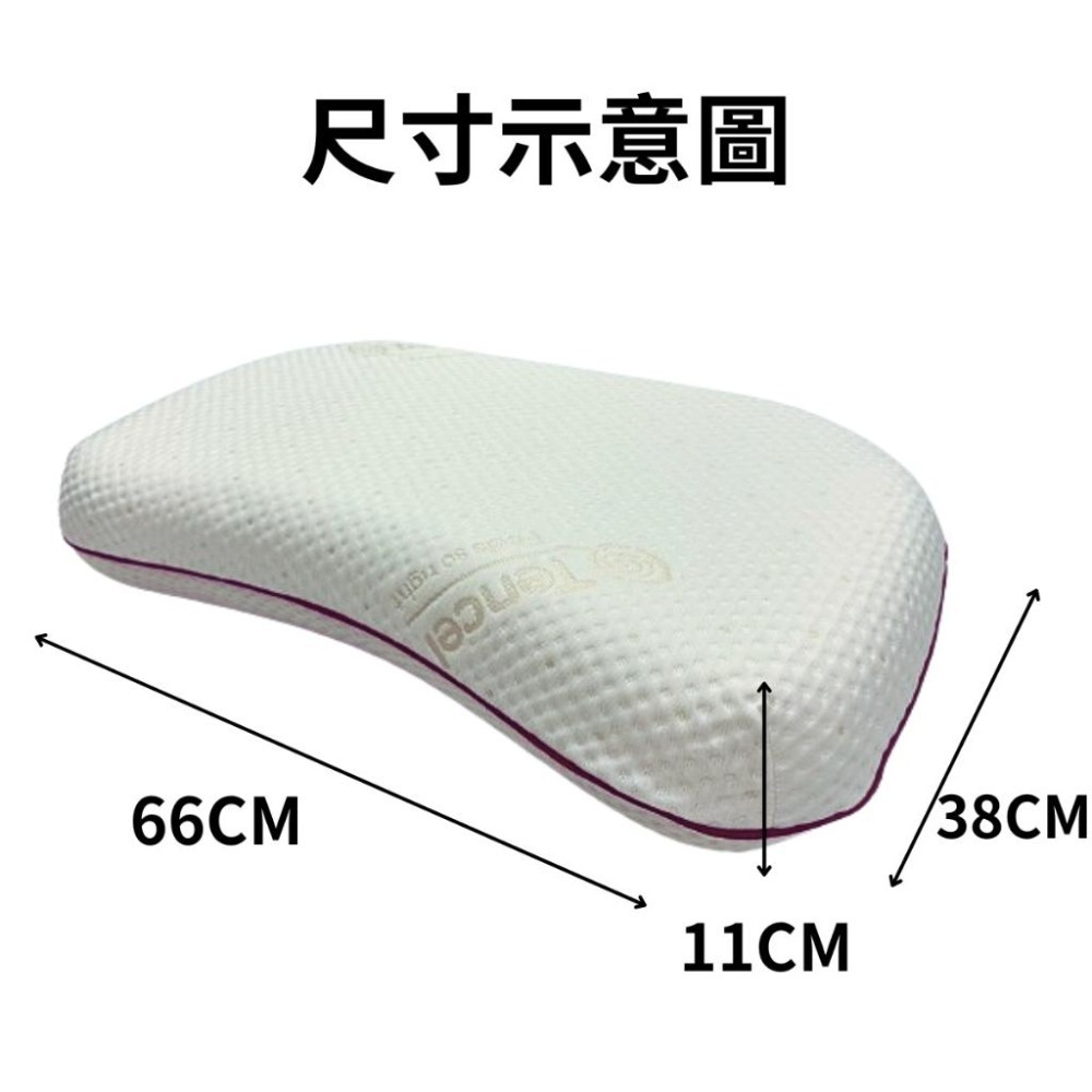 【EASYDAY】台灣製造 SGS認證 三環流線恆溫記憶枕 人體工學枕 70D高密度記憶枕 【高密度記憶枕】-細節圖6