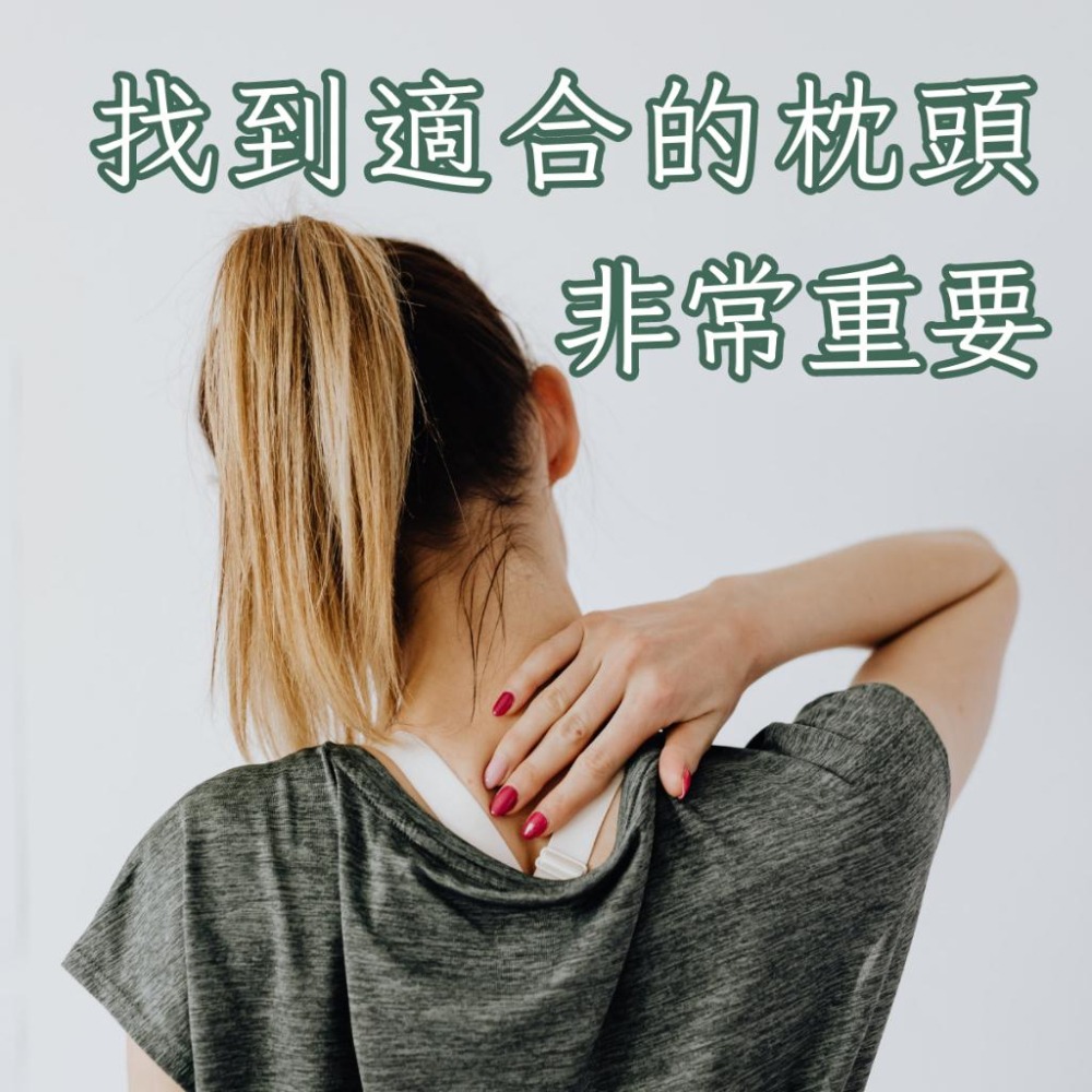 【EASYDAY】高密度80D 100%台灣製造 吸濕排汗 涼感釋壓舒眠記憶枕 枕頭 記憶枕 蝴蝶枕【涼感記憶枕】-細節圖3