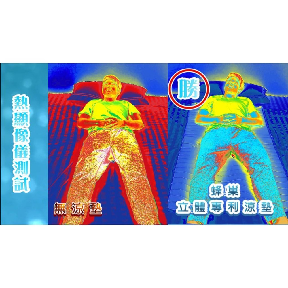 【EASYDAY】100%台灣製造 獨家專利產品 3D蜂巢四季涼感墊 野餐墊 瑜珈墊 床墊 露營 地墊-細節圖6