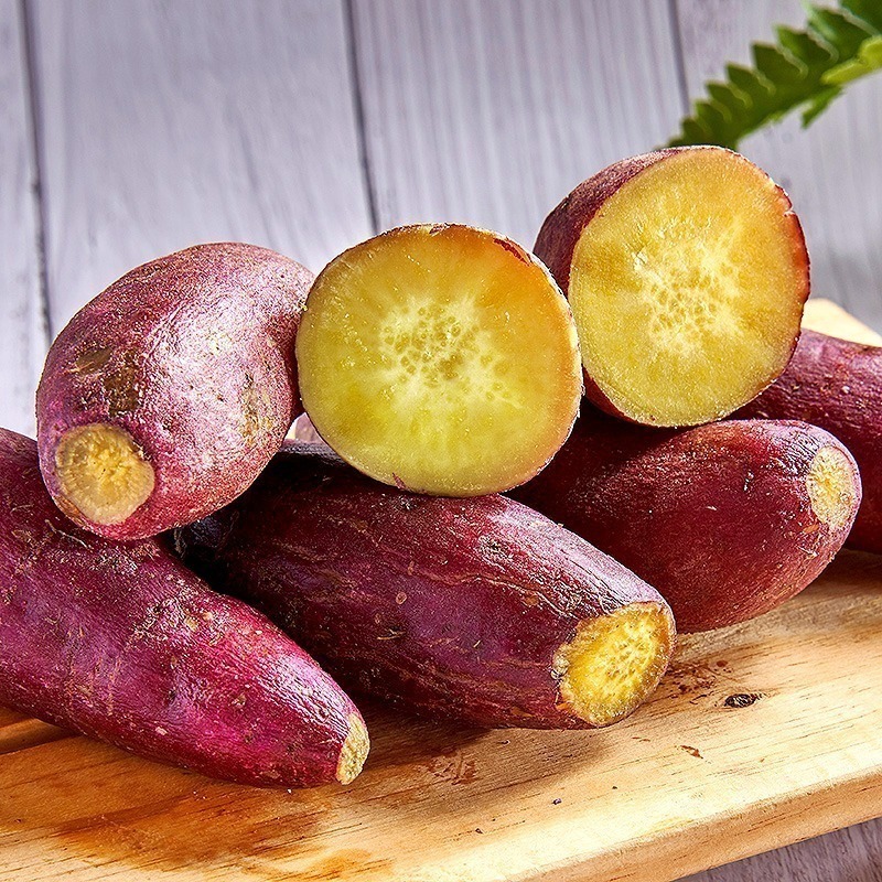 【金山藷童瑤】冰烤栗香地瓜（關東91號）-細節圖2