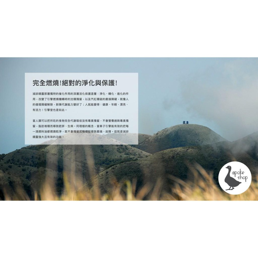 【世紀美】高雄 環保 減排精靈 引擎精靈 汽車 機車 省油 環保 節能 減碳 機油 舊車 老車 PM2.5 柴油-細節圖9