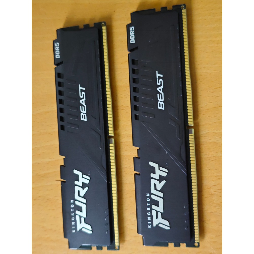 胡先生記憶體-細節圖2