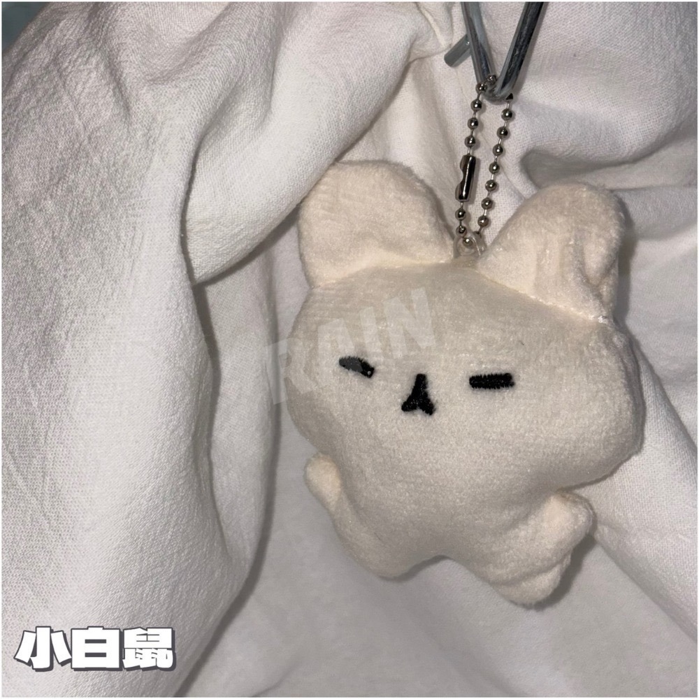小白鼠