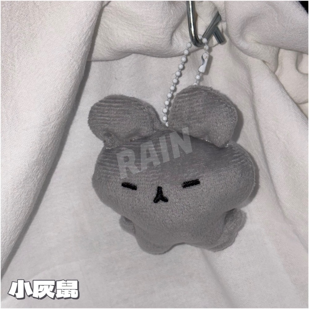 小灰鼠