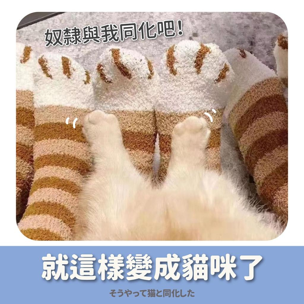貓爪襪 貓咪襪子 貓襪子 貓咪襪 珊瑚絨襪子 珊瑚絨襪 保暖襪 毛襪 毛絨襪子 冬襪 襪子 貓腳襪 貓掌襪 女襪 可愛襪-細節圖6