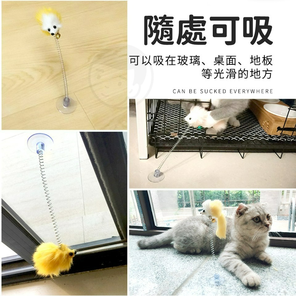 一體式逗貓棒 逗貓棒 貓咪玩具 貓玩具 寵物玩具 寵物用品 逗貓玩具 鬥貓棒 伸縮逗貓棒 釣竿逗貓棒-細節圖7