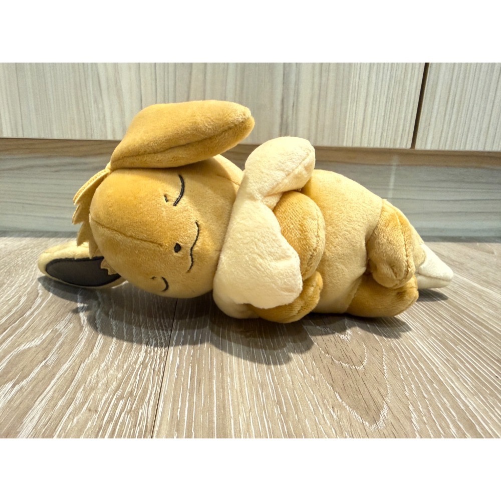 寶可夢睡覺好朋友-噴火龍 伊布 娃娃 玩偶 日本正版 睡眠好朋友 pokemon-規格圖2