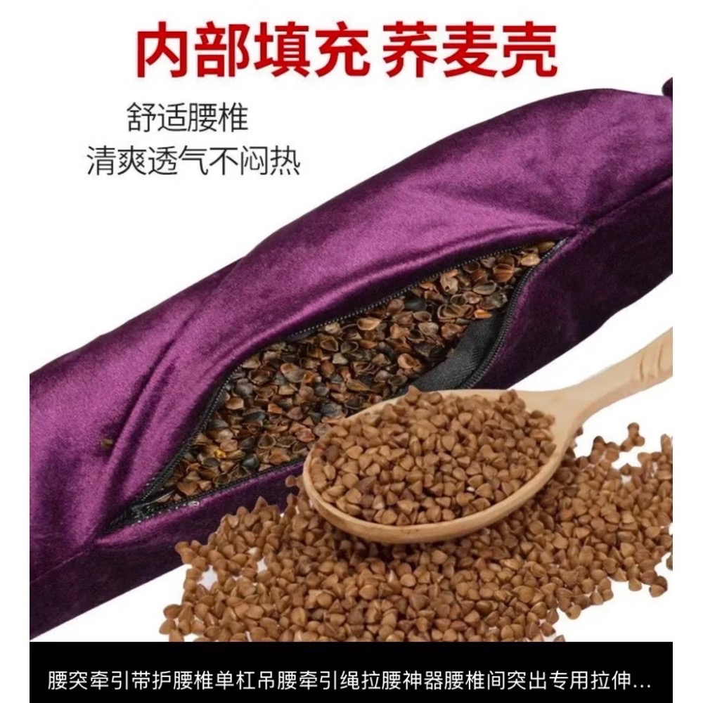 台灣現貨 全新腰椎牽引器，掛勾大號含手柄，不含單槓-細節圖2
