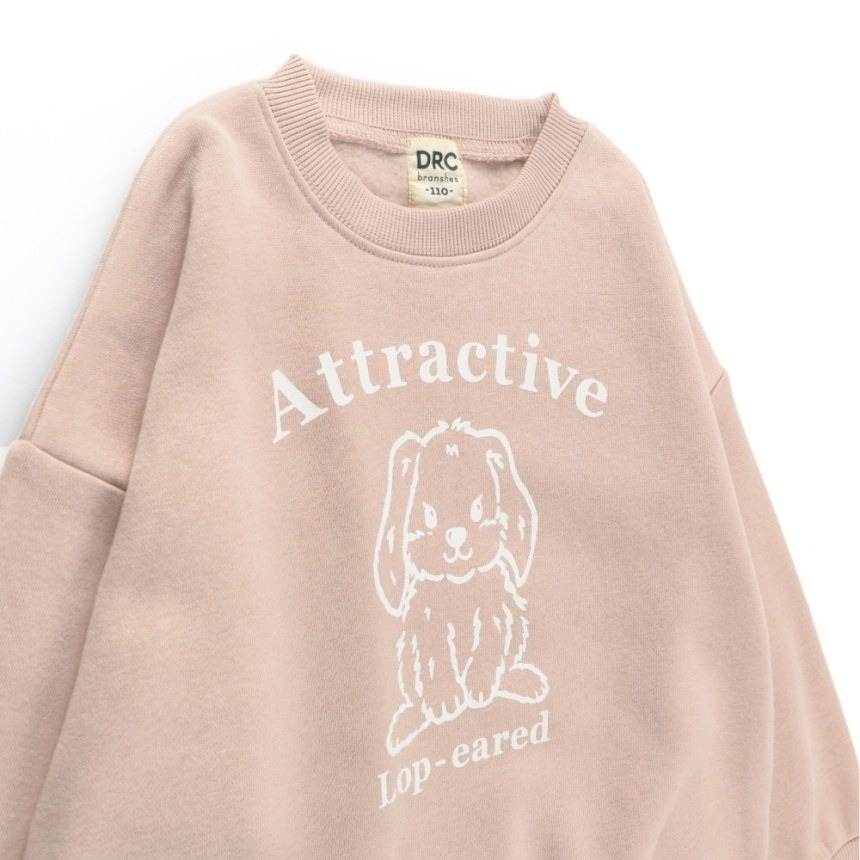 (現貨130）🇯🇵日本 DRC branshes 印花刷毛運動衫-細節圖2