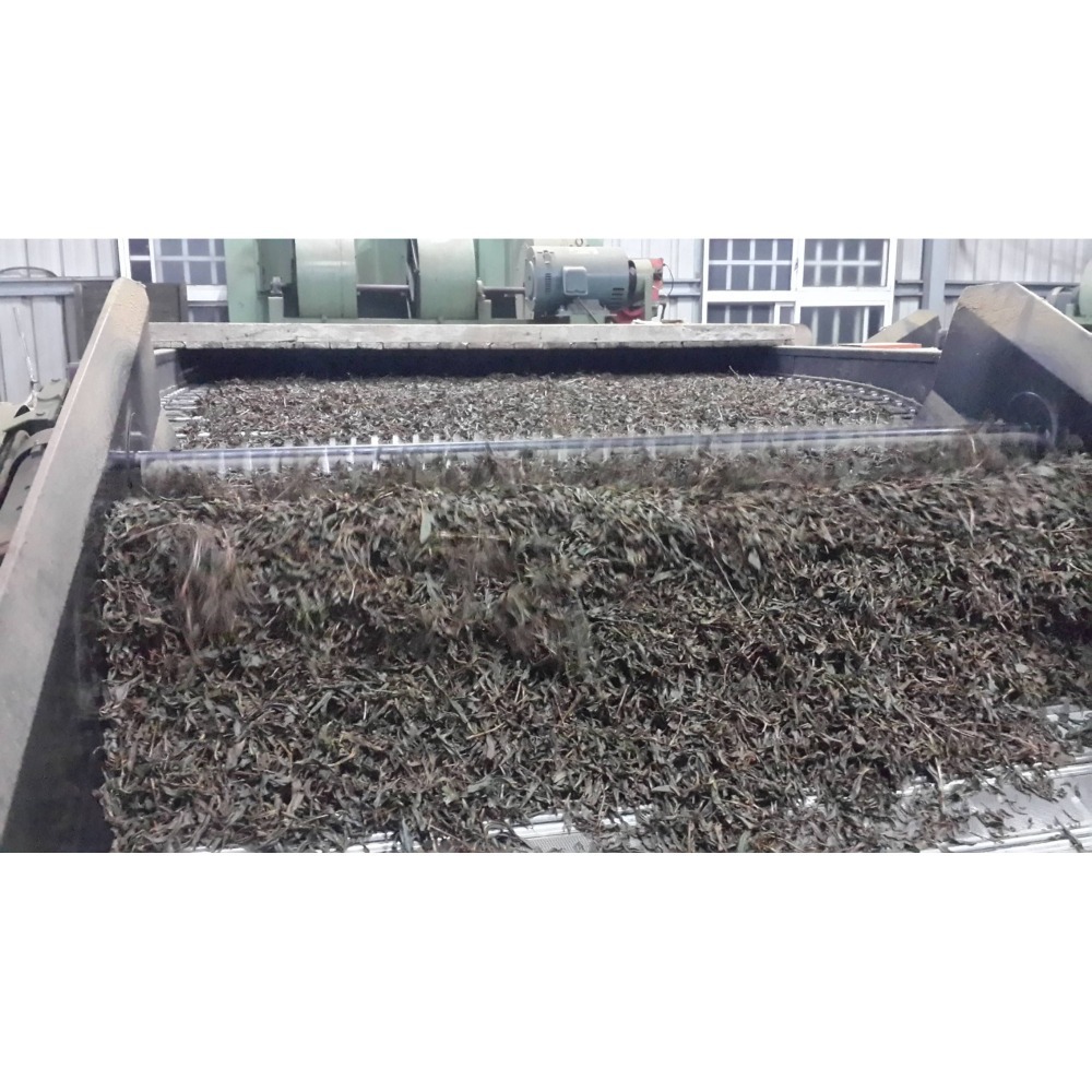 茗御采茶-(花香濃郁款)桂花蜜香紅茶三角立體茶包10入-細節圖4