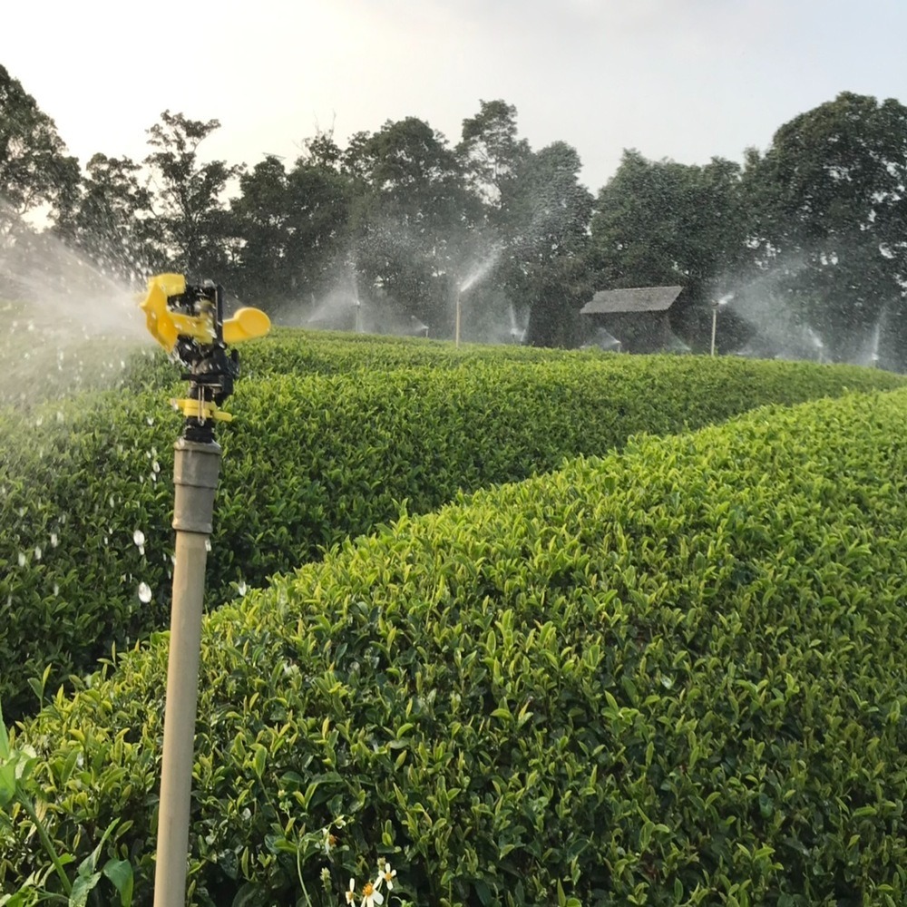 茗御采茶-(加購區)桂花蜜香紅茶/金觀音球型原片烏龍茶-非裸裝5入-細節圖6