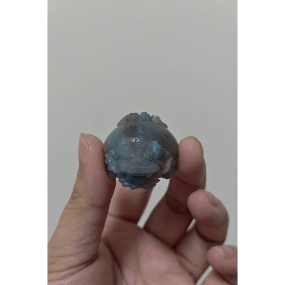 羥翎鋁龍龜-細節圖2